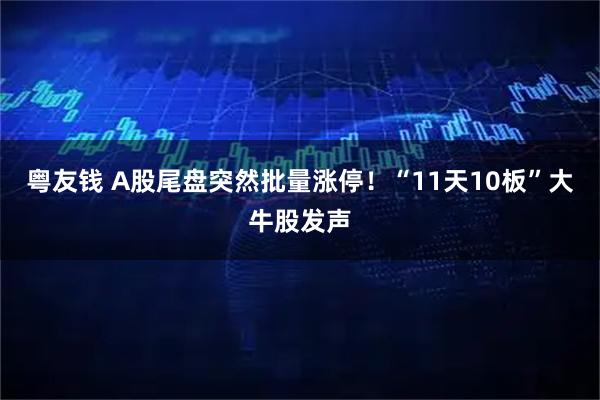 粤友钱 A股尾盘突然批量涨停！“11天10板”大牛股发声