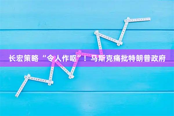长宏策略 “令人作呕”！马斯克痛批特朗普政府